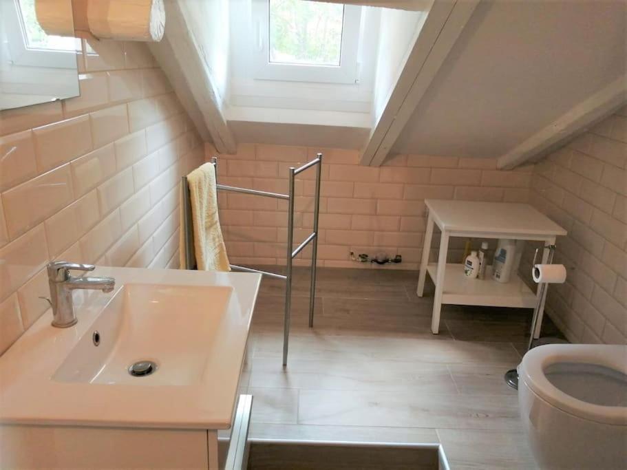 Maison Mirt Bolonya Dış mekan fotoğraf